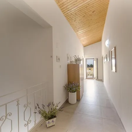 Casa Lucia بيت ضيافة أولبيا